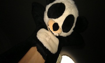 IMAG0093.jpg