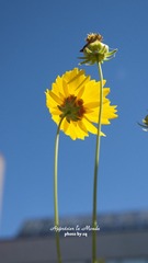 P1070114