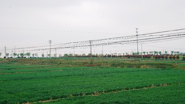 538410