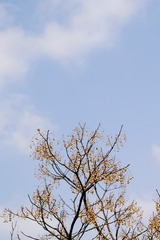 514947