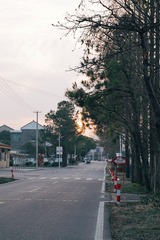 509017