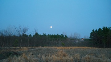 509732