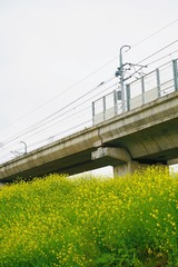 538401