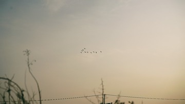 568268