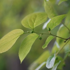 538471