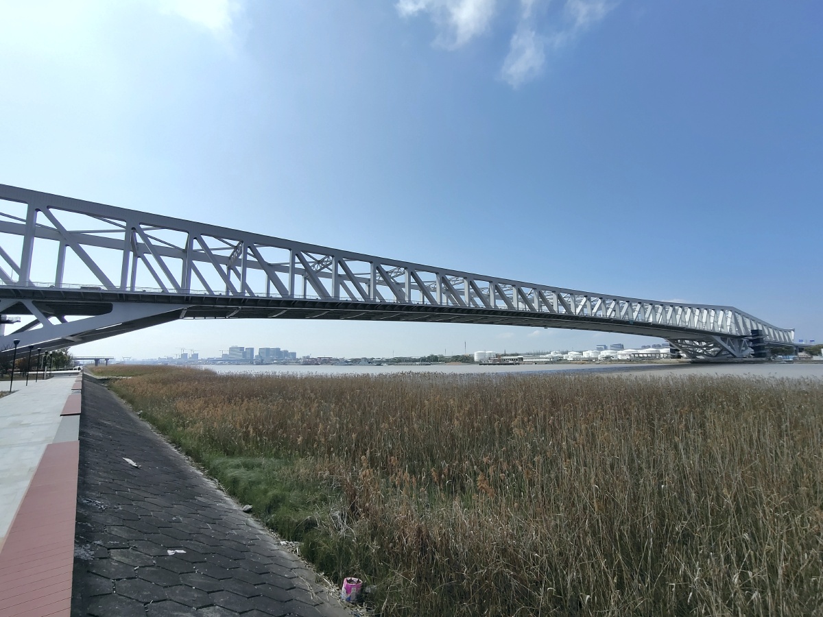 三官堂大桥连接宁波国家高新区和镇海区全长33公里桥梁总长22公里主跨