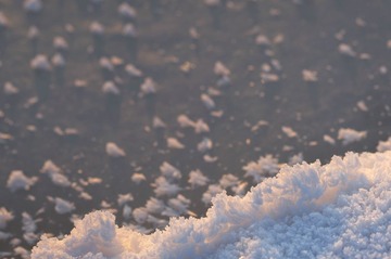 DSC_6971a