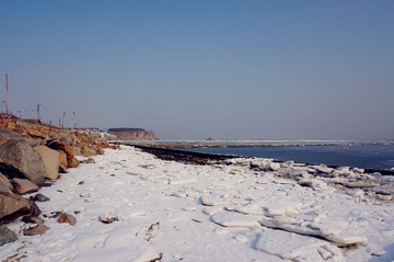 DSC00202.jpg
