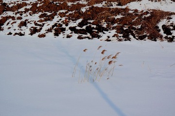 DSC00110.jpg