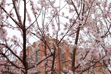 IMG_8200-8.jpg