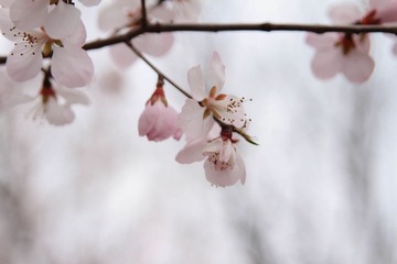 IMG_8202-9.jpg