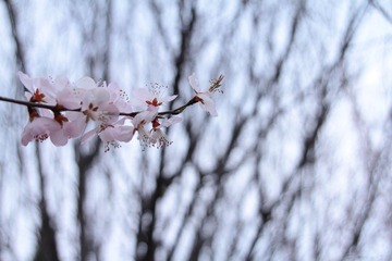 IMG_8203-10.jpg