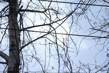 IMG_8241-20.jpg