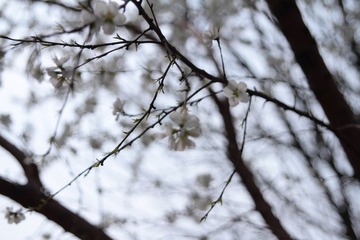 IMG_8284-21.jpg