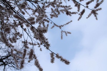 IMG_8297-22.jpg