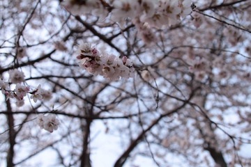 IMG_8299-23.jpg