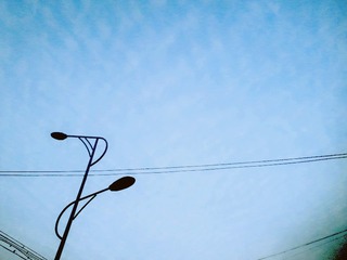 照片0168_副本.jpg