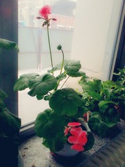 照片0255_副本.jpg