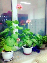 照片0259_副本.jpg