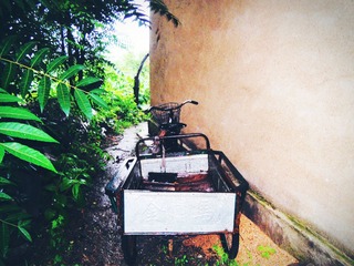 DSCN4839_副本.jpg