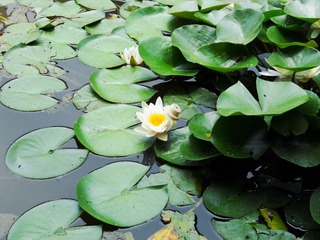 DSCN4896_副本.jpg