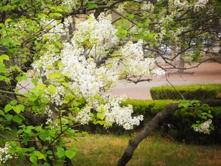 DSCN3070_