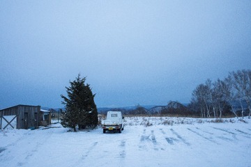 B43A5044