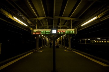 B43A5591