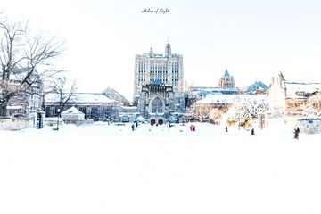 IMG_4158.jpg
