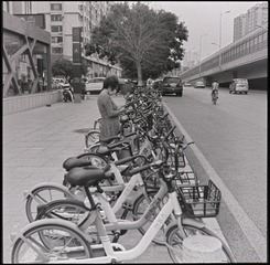 3664387