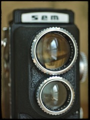 3803175