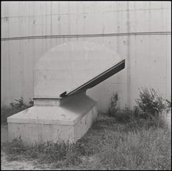 3616556