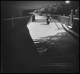 3874118