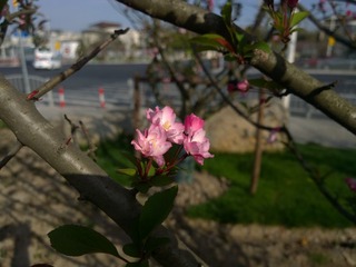 WP_20180329_08_02_41_Pro__highres