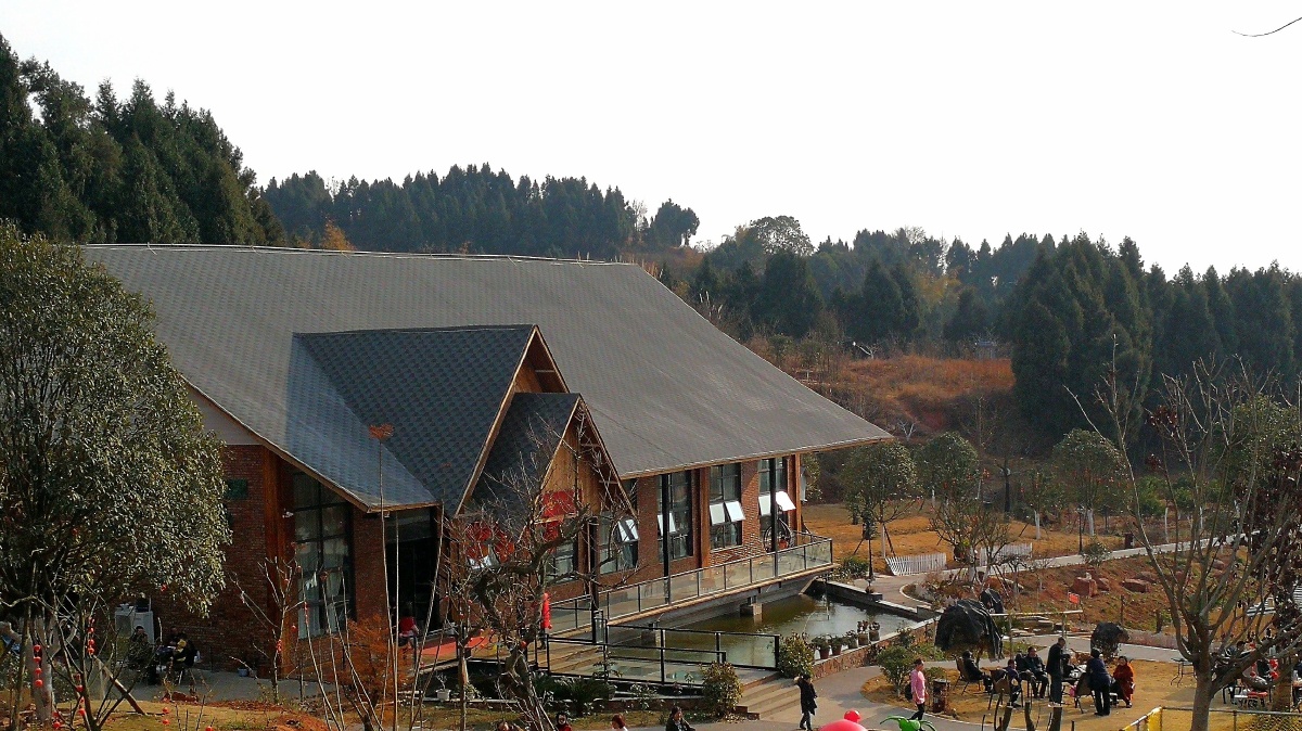 金堂半山伴水农家乐