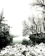 IMG_4084++.jpg