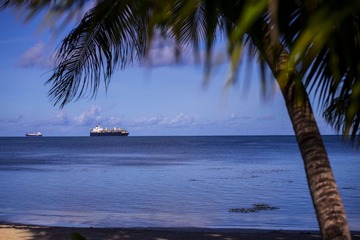 IMG_4997.jpg