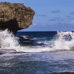IMG_5515.jpg