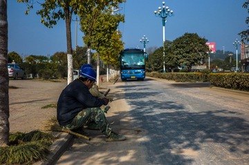 L1001226.jpg