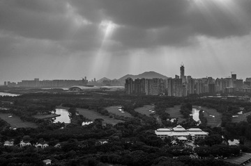 L1001502.jpg