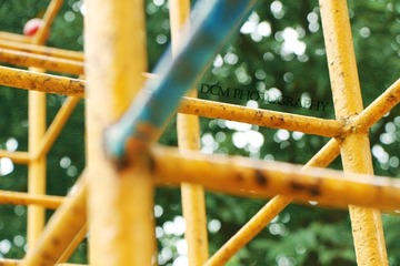 06a.jpg