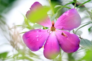 IMG_8322_副本.jpg