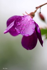IMG_8335_副本.jpg