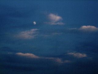 9820FF5F-9B50-4322-8584-50E207FF1F0E/L0/001