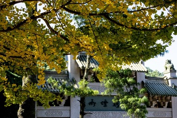 IMG_0753-1