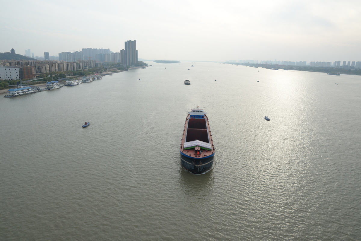 南京长江大桥下的运输船
