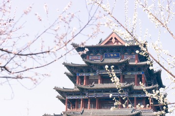 DSC_7943  修