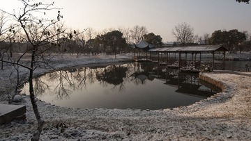 DSC03468.jpg