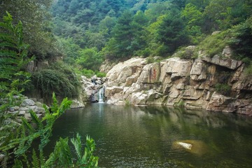 SAM_2582-1