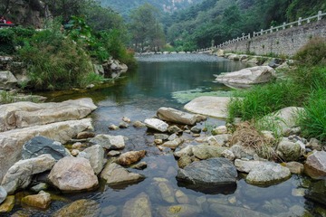 SAM_2602-1
